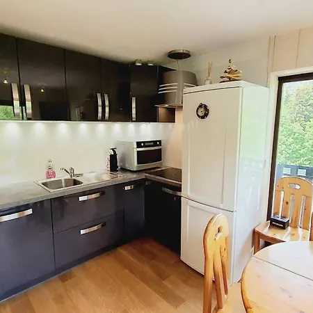Grizzly - 2 Bedrooms - In/out- * Les Gets